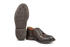 BOURTON COUNTRY SHOE - ESPRESSO BURNISHED -Men Shoes Store bourton country shoe espresso burnished 844304